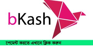 bkash-logo copy